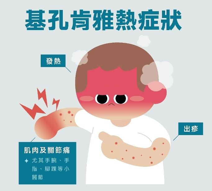 基孔肯雅熱（屈公病）