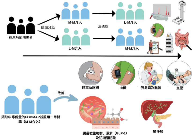 糖尿病
